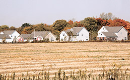 Suburban farmland