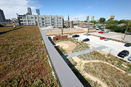 green roof