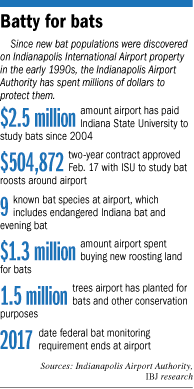 bat by the numbers