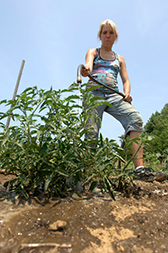 online-dry-gardens-070912-1col.jpg