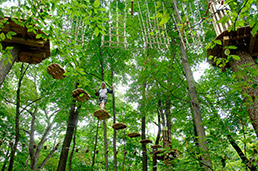 Lou S Views Treetop Adventure At Eagle Creek Park Indianapolis Business Journal Lou S Views Treetop Adventure At Eagle Creek Park Indianapolis Business Journal