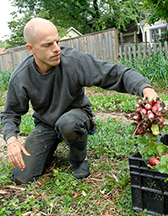 Urban farming