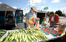 farmer's market offerings