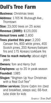 Dull's Tree Farm fact box