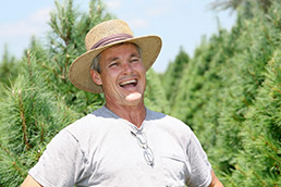 Dull tree farm owner