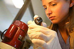 Katie Schemehorn files down the ends to expose the tooth.