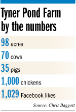 baggott-numbers.gif