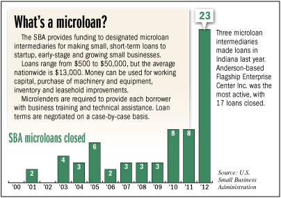 microloan-factbox.gif