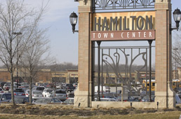 rop-hamilton-012113-fade-15col.jpg