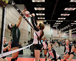 meetingguide-volleyball-15col.jpg