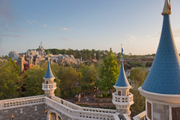 disney-overview-15col.jpg