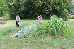 decatur-employee-garden-15col.jpg