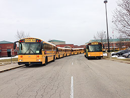 school buses