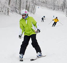 ae-maingirl-skier-15col.jpg