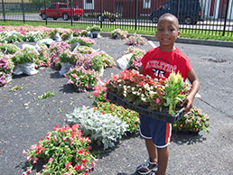 kib-flowerdistribution-2010-012-15col.jpg