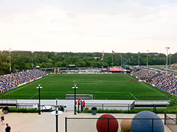 silverbacks-park-15col.jpg