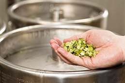 towyardhops-5-15col.jpg