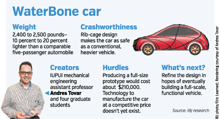 ribcage-factbox.gif