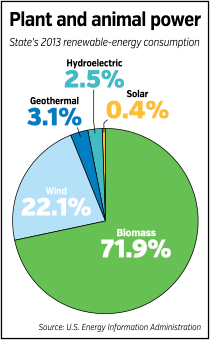 focus-renewable-energy.gif