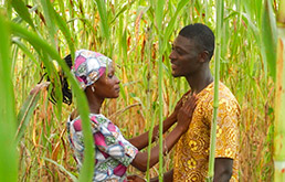 ae-ff-nakom-millet-fieldcrop-15col.jpg