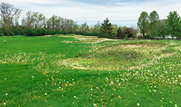 saddlebrook5-forweb-15col.jpg