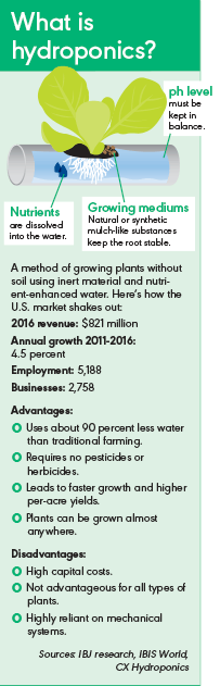 hydroponics-factbox.gif