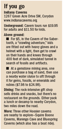 ae-caverns-factbox.jpg