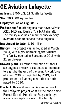 Focus GE factbox