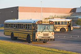 buses-1-15col.jpg