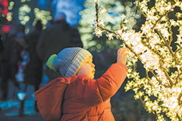 ae-ima-holiday-lights-kid-15col.jpg