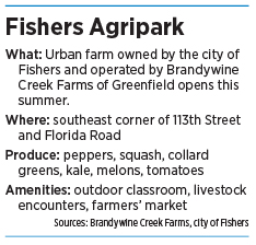 fishers_agripark_factbox.jpg