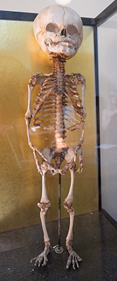 places-medicalmuseum-17-1col.jpg