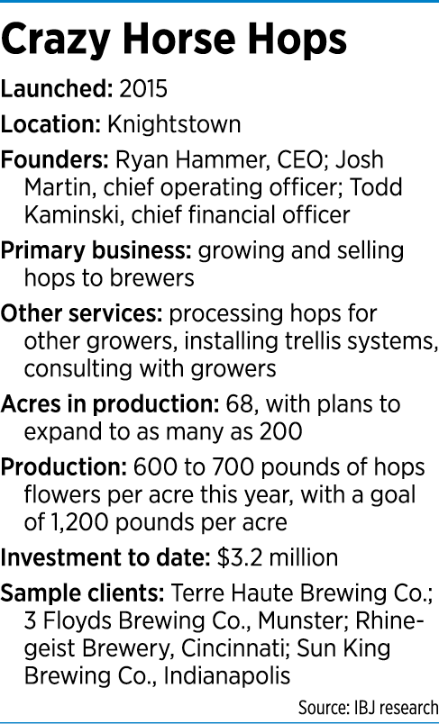 hops-factbox.png