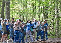 focus_-vg-birding-56431-15col.jpg