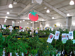 2012 HCMGA plant sale