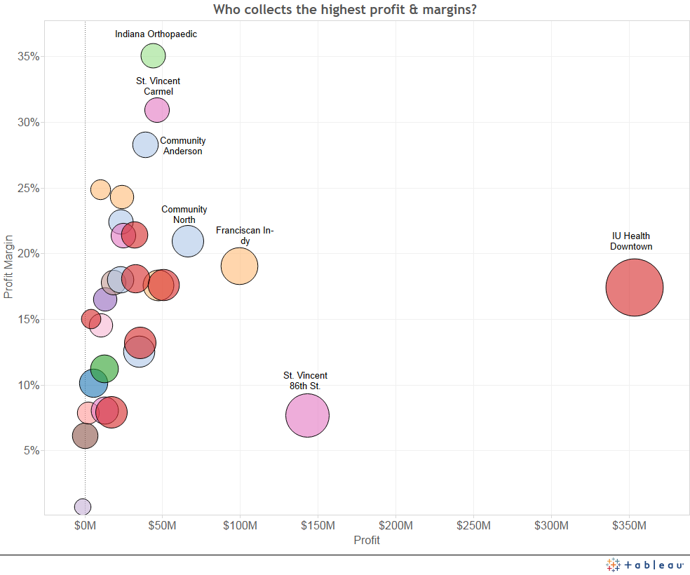 Hospital Profits Visualized