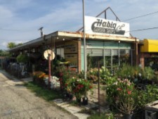 Habig plant shop 225px