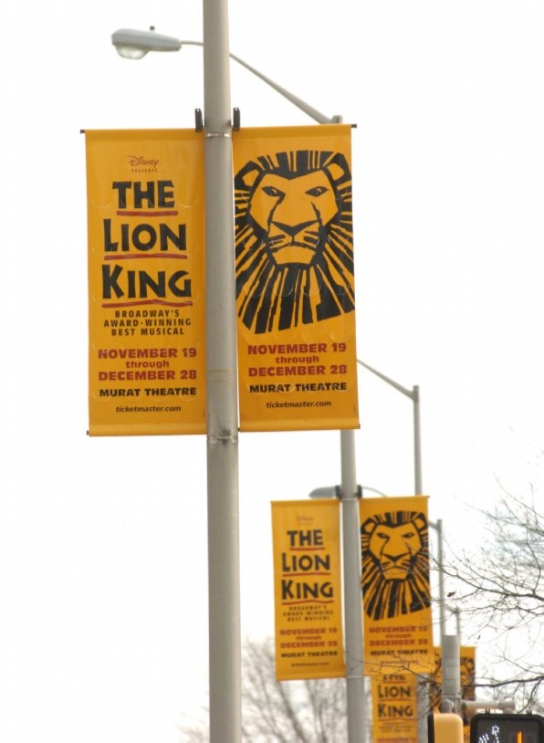 Lion King banner