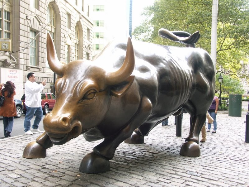 bullnyse