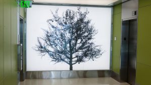 Adam Frank's ''Arbor,'' contains a different backlit Indiana tree on each floor.